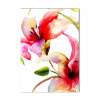 Moderné akrylové fotoagácie Lily Flowers 70x100 (Moderné akrylové fotoagácie Lily Flowers 70x100)