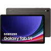 Samsung Galaxy Tab S9 5G SM-X716BZAAEUE