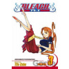 Bleach, Vol. 3