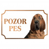 Svätohubertský pes (Bloodhound) - Kovová tabuľka POZOR PES