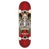 Birdhouse - Stage 1 TH Icon Red 8