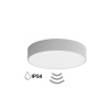 Temar CLEO 300 IP54 WITH MOTION SENSOR GREY