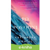 E-kniha Po povodni - Kassandra Montag