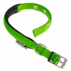 FERPLAST Obojok nylon DAYTONA C 45cmx25mm zelený