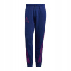 Adidas L Training Set odtiene zelenej (Dlhé adidas reverzné retro kožušinové tepláky)