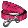 WAUDOG vodítko nylon Meloun (S/122cm/1,5cm)