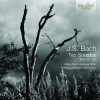 TRIO SONATAS BACH, J. S. CD