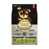 OBT Puppy DOG Chicken Small Breed 1 kg