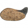 Buffalo Horn, byvolí roh plnený byvolím rohovinou a šľachou, 10-14 cm