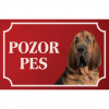 Svätohubertský pes (Bloodhound) - Kovová tabuľka POZOR PES