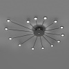 Trio Lighting Stropné LED svietidlo Peacock, 15-pl., čierne - 679511532