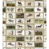 MINDTHEGAP English equestrian stamps - tapeta