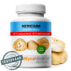 MycoMedica Hericium 50% 90 kapslí