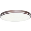 IMMAX NEO LITE AREAS SMART stropné svetlo 51cm, 48W káva TUYA Wi-Fi 07150-C51
