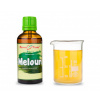 Meloun - bylinné kapky (tinktura) 50 ml - doplněk stravy