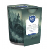 Aura Bispol Oak Moss vonná sviečka 100g
