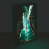Obraz LED svietiace 30x40, Harry potter - Harry vs. Voldemort