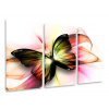 Fotografie sklo pre nástenné zvieratá motýľ 120x80 (Obrázok Triptych Butterfly Triptych 120x80)