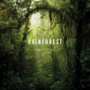Rainforest (Lewis Blackwell)(Pevná)