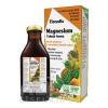 SALUS Floradix Magnesium tekutá forma 1x250 ml