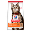 Hill's Fel. Dry Adult Lamb&Rice 10kg