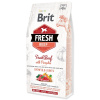 Brit Dog Fresh Beef & Pumpkin Puppy Large 2,5 kg