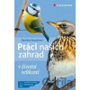 Ptáci našich zahrad - Daniela Straußová
