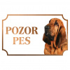 Svätohubertský pes (Bloodhound) - Kovová tabuľka POZOR PES