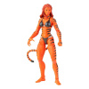 Hasbro Séria Marvel Legends - Akčná figúrka - Tigra od Marvelu