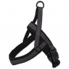 ACTIVE DOG postroj Neoprene