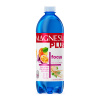 Magnesia PLUS s jemnou perlivosťou Focus 0,7 l