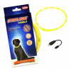 Nobby Led Visible svietiaci obojok