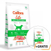 Calibra Dog Life Adult Medium Breed Lamb 12 kg + 2,5 kg gratis