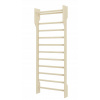 LADDER GYMNASTICKÝ, REHABILITÁCIA 200x90 cm (LADDER GYMNASTICKÝ, REHABILITÁCIA 200x90 cm)