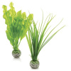 BiOrb Plant Pack zelená set 20 cm