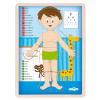 Woody puzzle Ľudské telo Chlapec SK