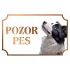 Border kólia - Kovová tabuľka POZOR PES