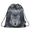 Bagmaster Mercury 9 C Gray/blue/yellow