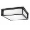 Pouličná lampa - Philips Garden Strop obloha E27 Anthracite IP44 (Philips Garden Strop obloha E27 Anthracite IP44)