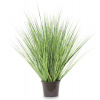 Dekoratívna Umelá Tráva