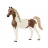 Schleich 13838 Horse Club Arabská klisna Pintabianská