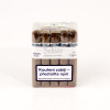 Asylum Schizo Robusto 1/20