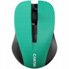 Canyon CNE-CMSW1GR