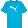 Pánske tričko Puma, TEAMRISE LOGO JERSEY tyrkysová,biela M