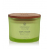 Chesapeake Bay Awaken + Invigorate vonná svíčka se 3 knoty 312 g
