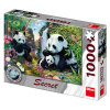 Dino SECRET COLLECTION Pandy 1000 dielov