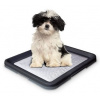 Nobby Doggy Trainer toaleta 62,5 x 48 x 3,8 cm L