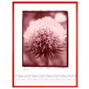 Fotorámeček 70x100 červený
