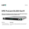 HPE PL DL320g11 4510 (2.4/12C) 2x32G (p64706) NS204(2x480) MR408i-o 8SFF 2x1000W 2p1G Smart Choice P85575-425