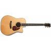 Furch Vintage 2 Dc-SR CNR Active